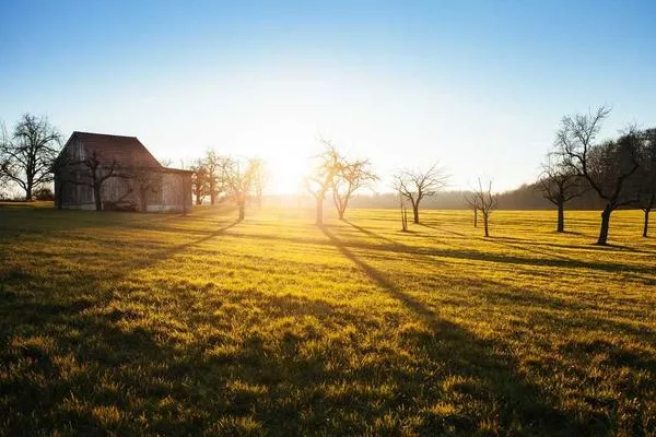 A field with a building and trees